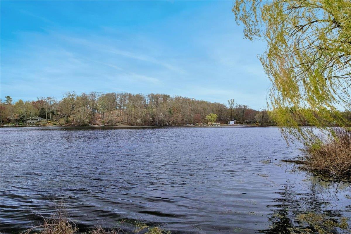 Single Family Parmly  Westchester County, NY 10547, MLS-849002-41