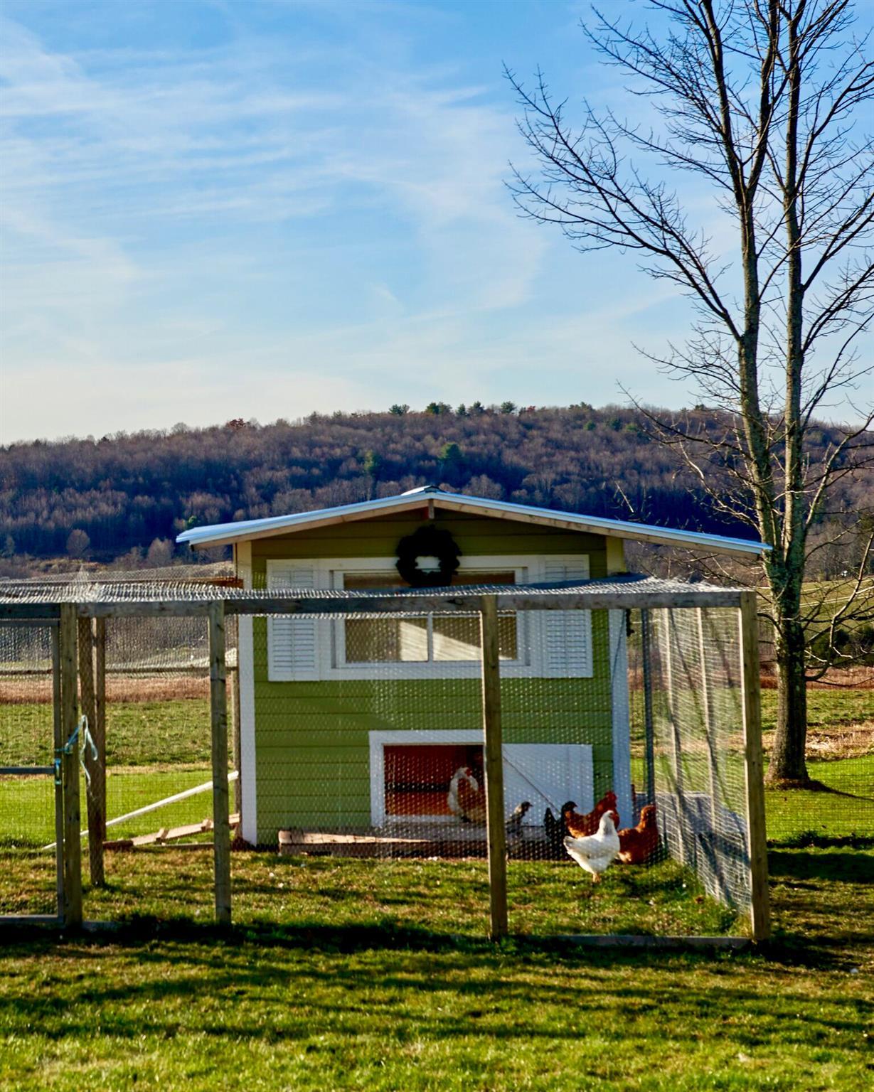 Single Family Beechwoods  Sullivan County, NY 12723, MLS-849154-7