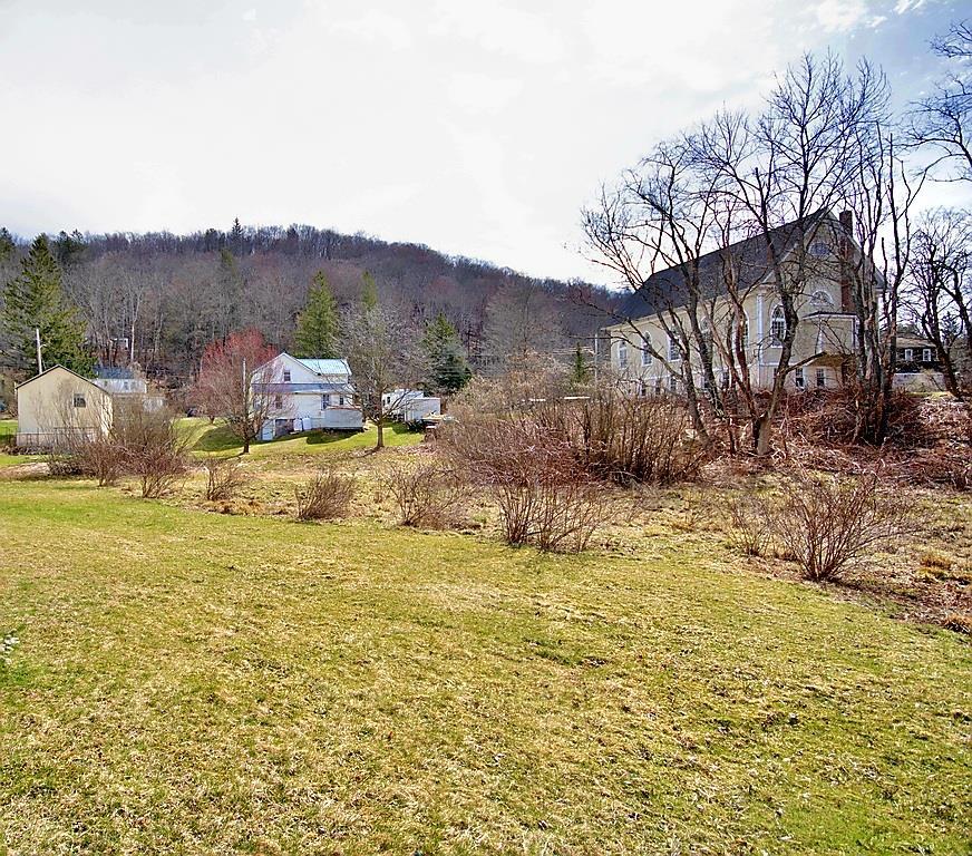 Single Family Meadow  Sullivan County, NY 12758, MLS-849271-24