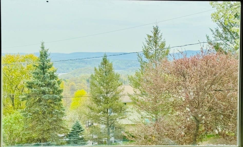 Single Family Wyms Heights  Ulster County, NY 12542, MLS-849275-38