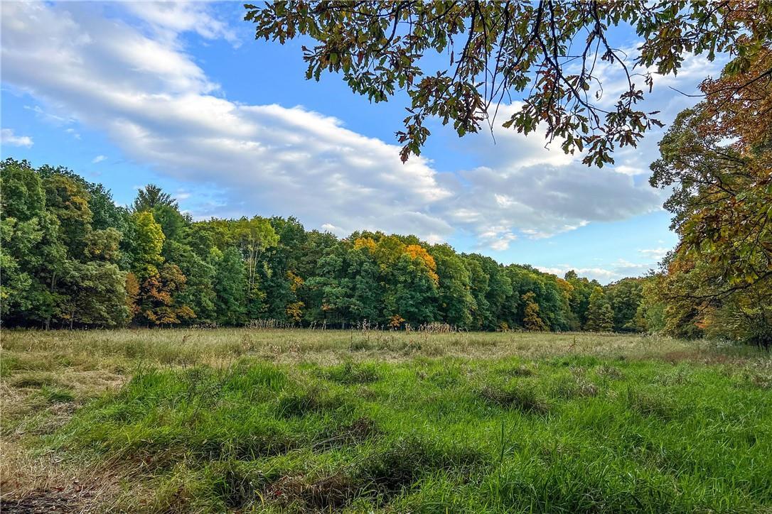 Single Family Ridge  Columbia County, NY 12156, MLS-849318-25