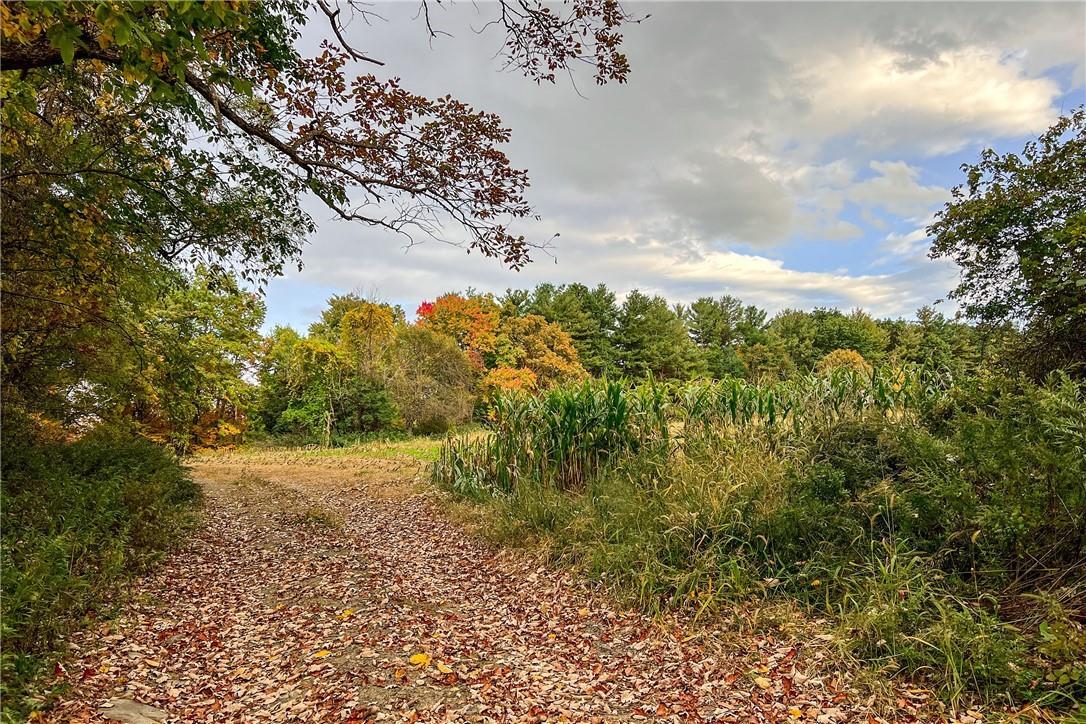 Single Family Ridge  Columbia County, NY 12156, MLS-849318-28