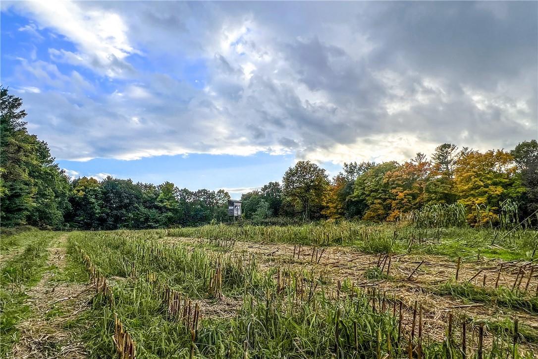 Single Family Ridge  Columbia County, NY 12156, MLS-849318-29