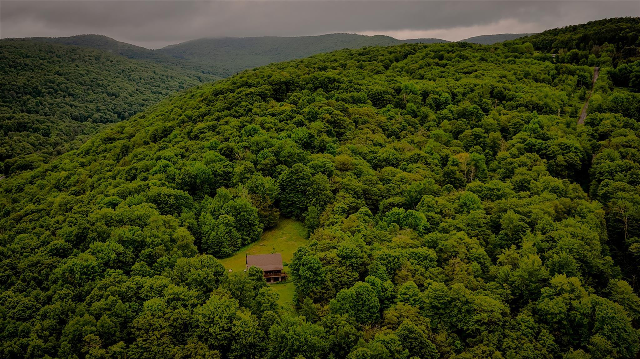 Single Family Baker Hill  Delaware County, NY 12776, MLS-849490-21