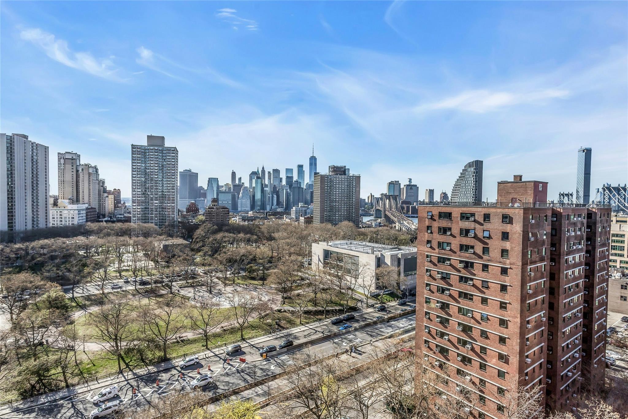 Coop Adams  Brooklyn, NY 11201, MLS-849497-19