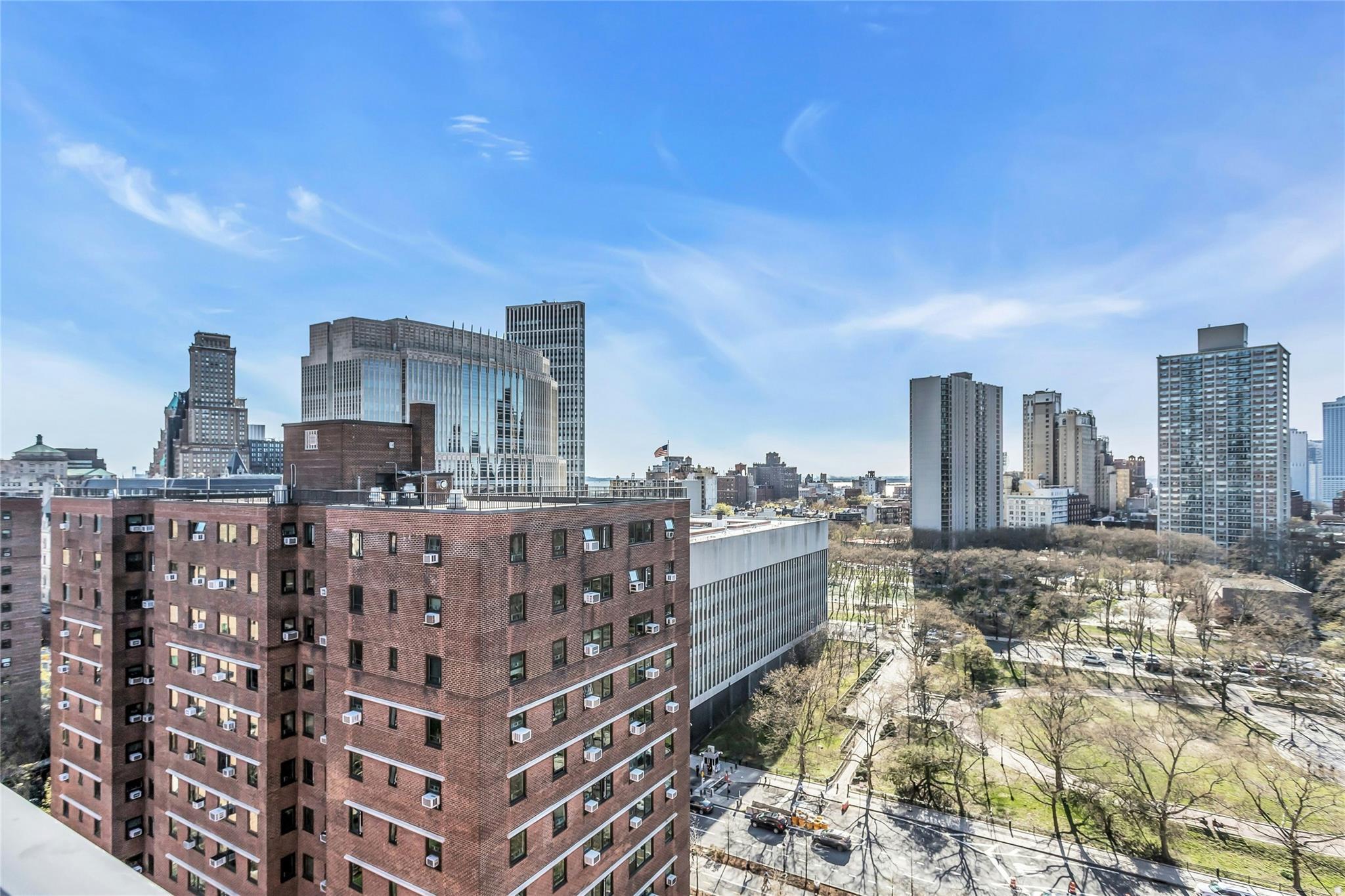 Coop Adams  Brooklyn, NY 11201, MLS-849497-21