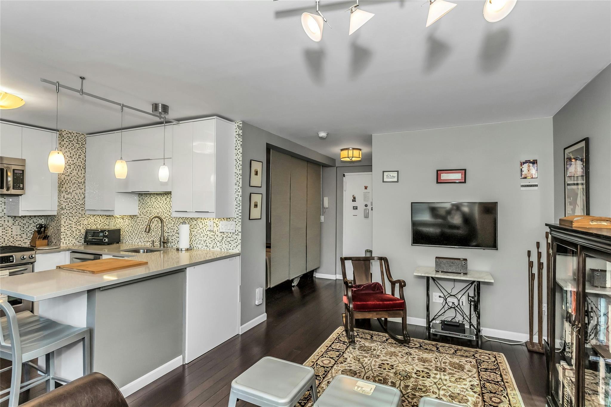 Coop Adams  Brooklyn, NY 11201, MLS-849497-6