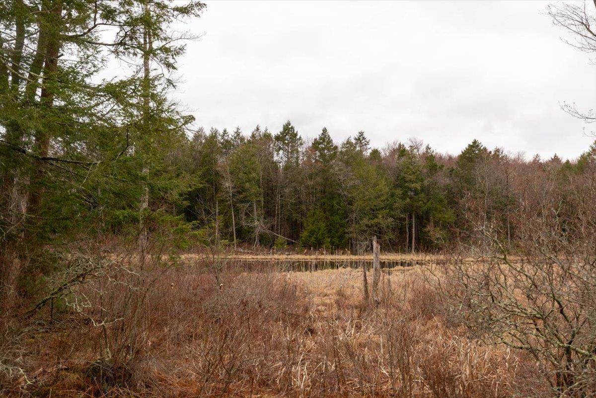 Single Family Sackett Lake  Sullivan County, NY 12701, MLS-849555-23
