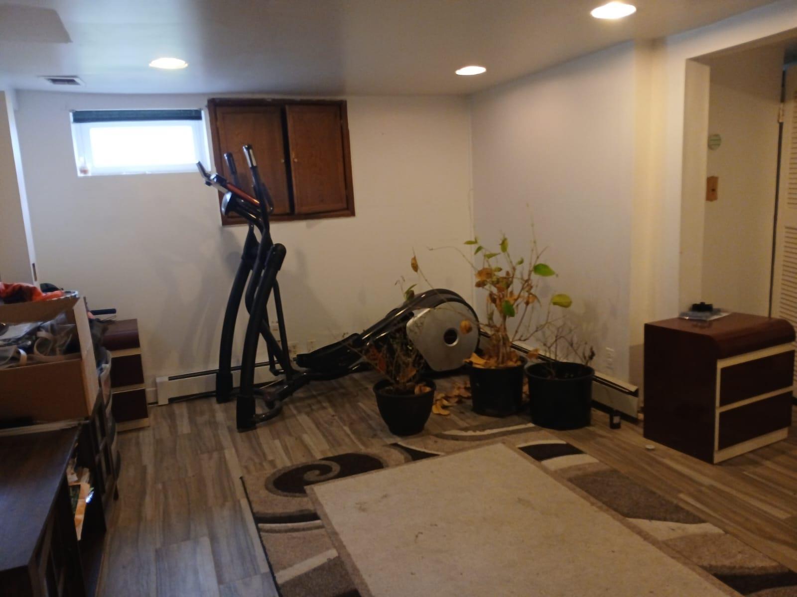 Single Family Power  Nassau County, NY 11801, MLS-849770-7