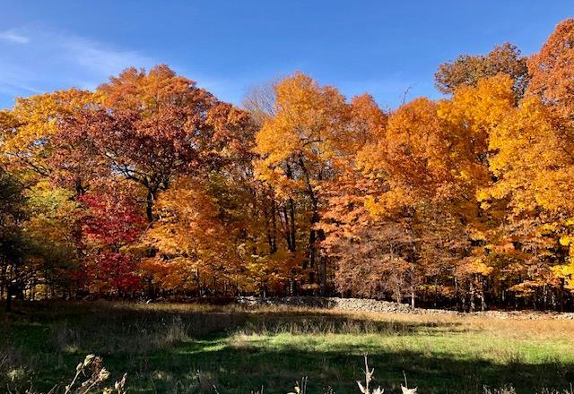 Single Family Mine Hill  Orange County, NY 12518, MLS-849805-36