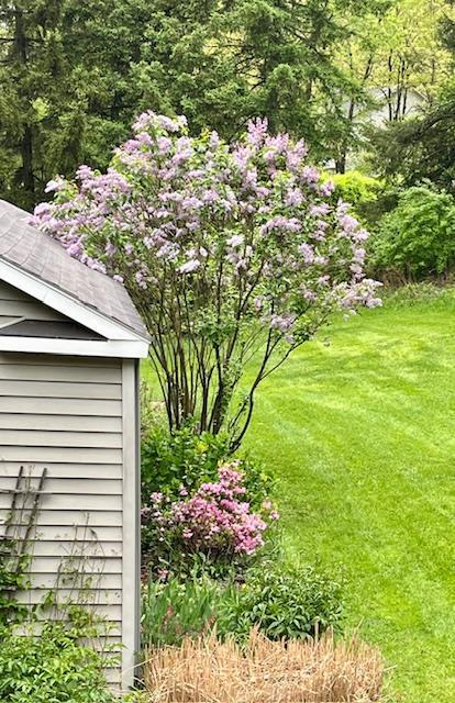 Single Family Mine Hill  Orange County, NY 12518, MLS-849805-38