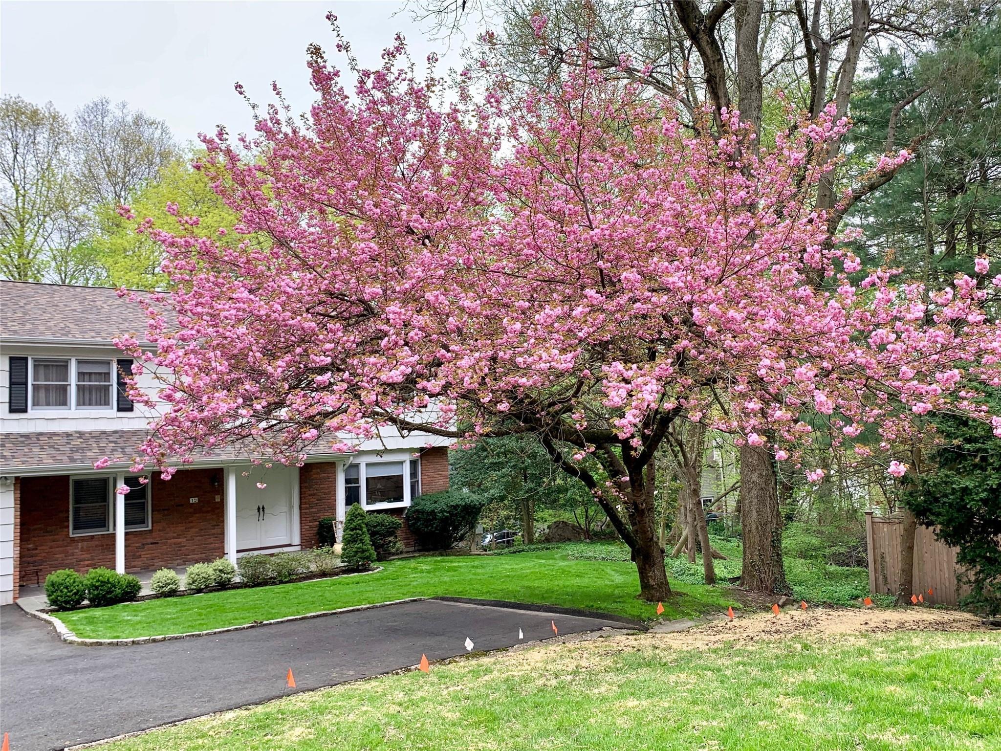 Single Family Stanwich  Out Of Area, NY 06830, MLS-849815-3