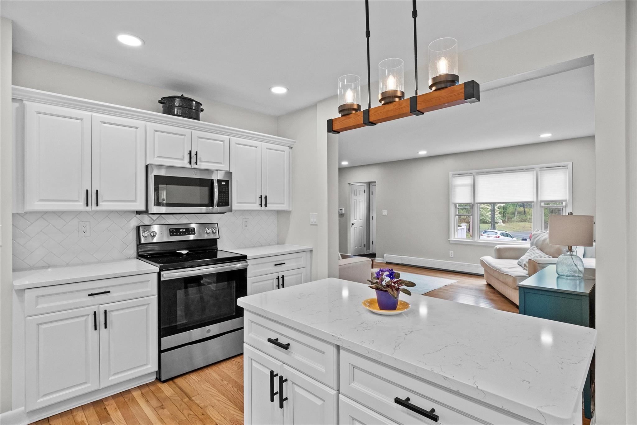 Single Family Fowler  Westchester County, NY 10567, MLS-849927-10