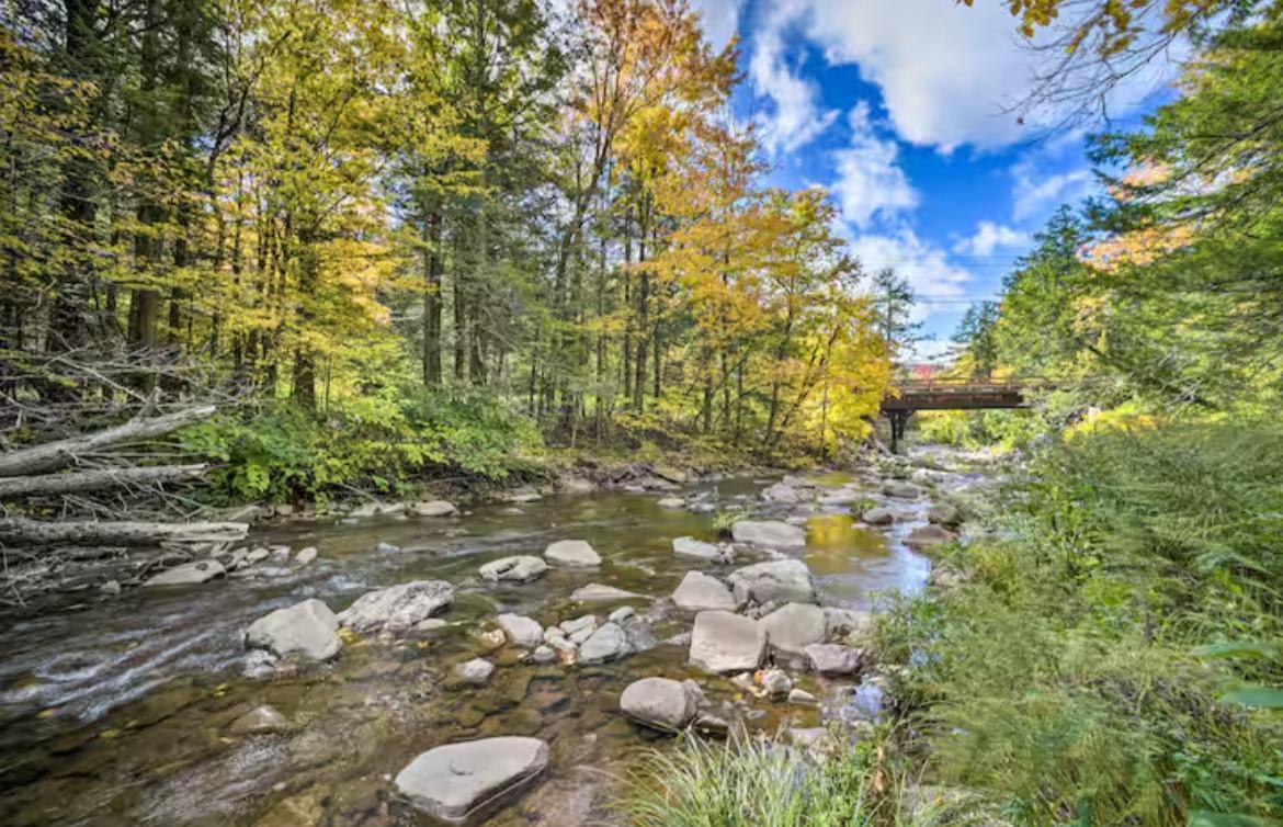 Single Family Bloomer  Greene County, NY 12485, MLS-849930-4