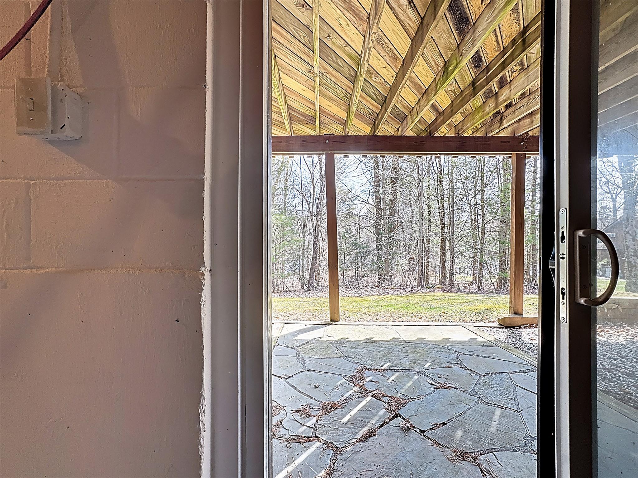 Single Family Water Lilly  Sullivan County, NY 12701, MLS-849959-26