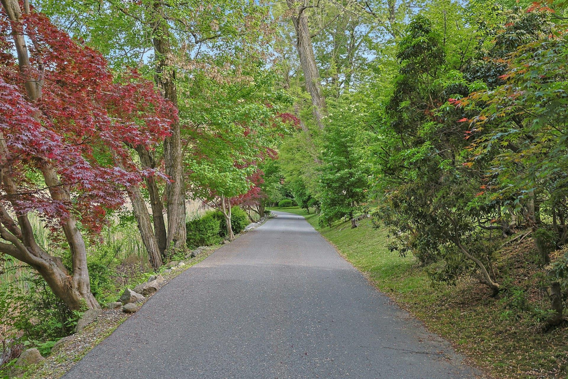 Single Family Sheldon  Westchester County, NY 10591, MLS-850073-5