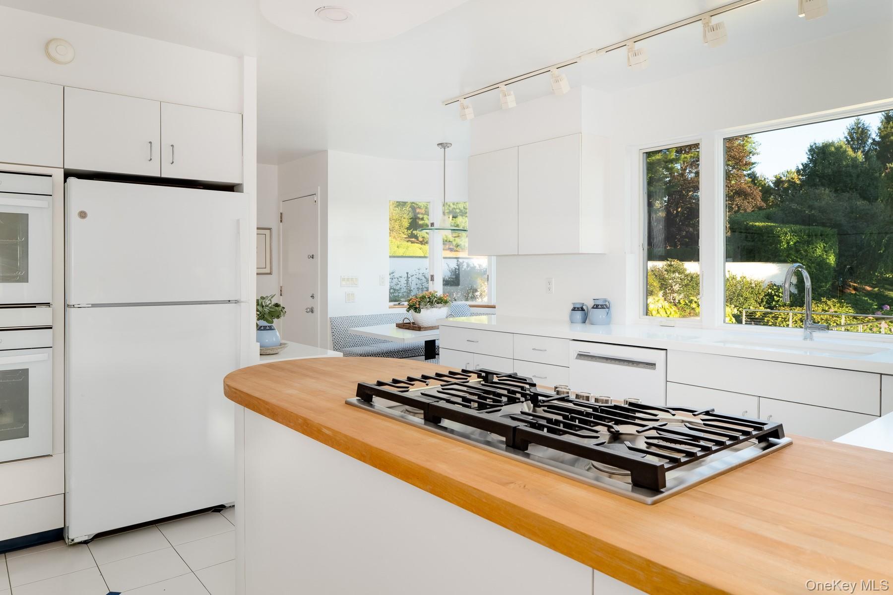 Single Family East Lake Westchester County, NY 10536, MLS-850085-24