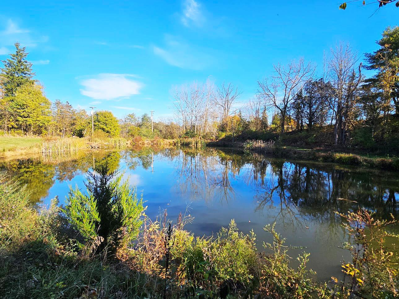 Single Family Fingar  Columbia County, NY 12534, MLS-850195-23