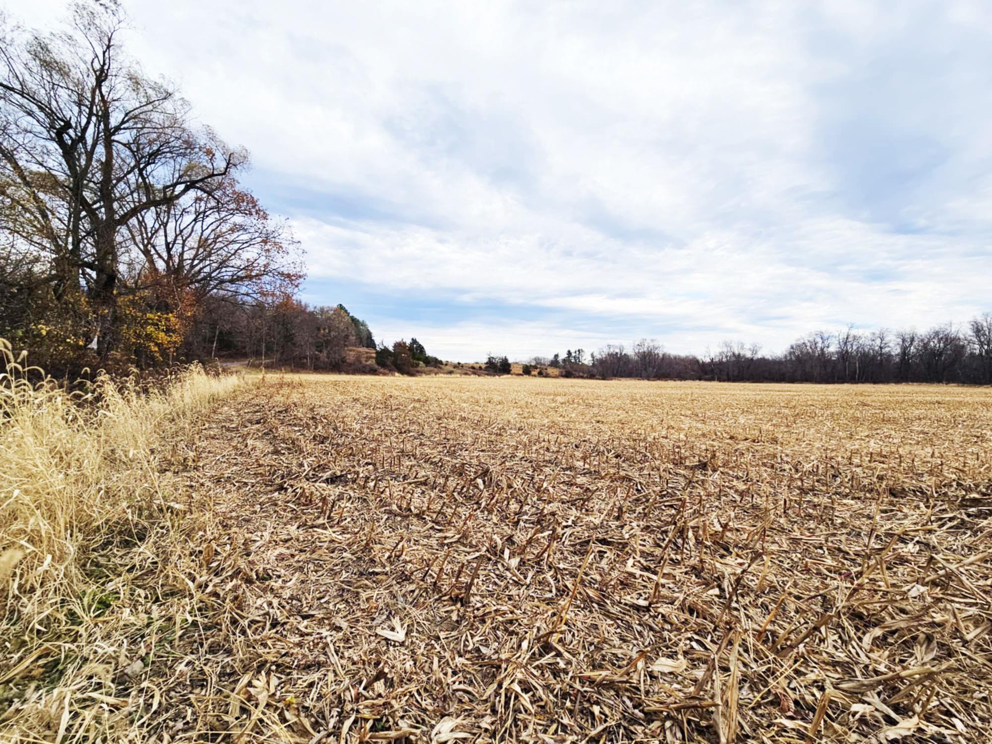 Single Family Fingar  Columbia County, NY 12534, MLS-850195-24