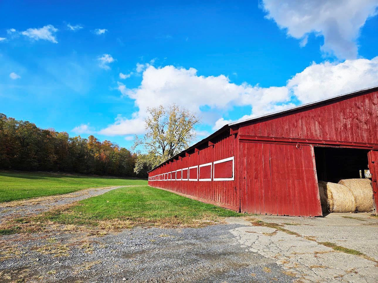 Single Family Fingar  Columbia County, NY 12534, MLS-850195-28