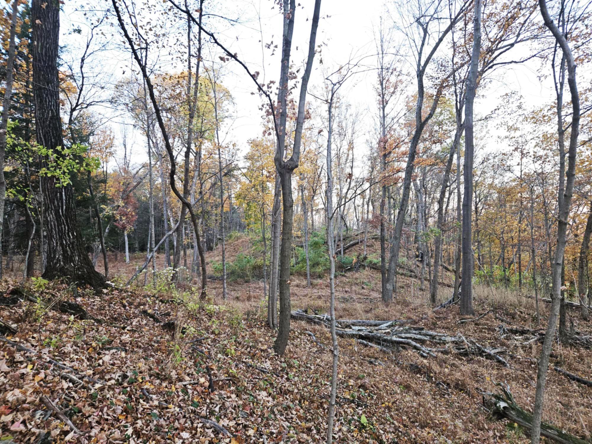 Single Family Fingar  Columbia County, NY 12534, MLS-850195-47
