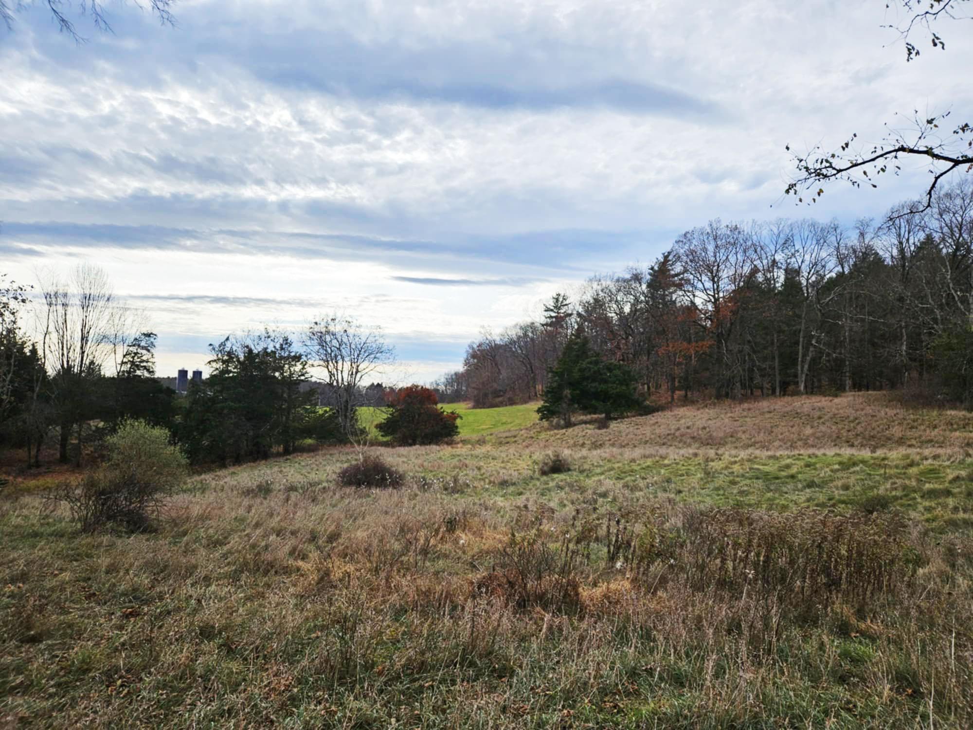 Single Family Fingar  Columbia County, NY 12534, MLS-850195-50