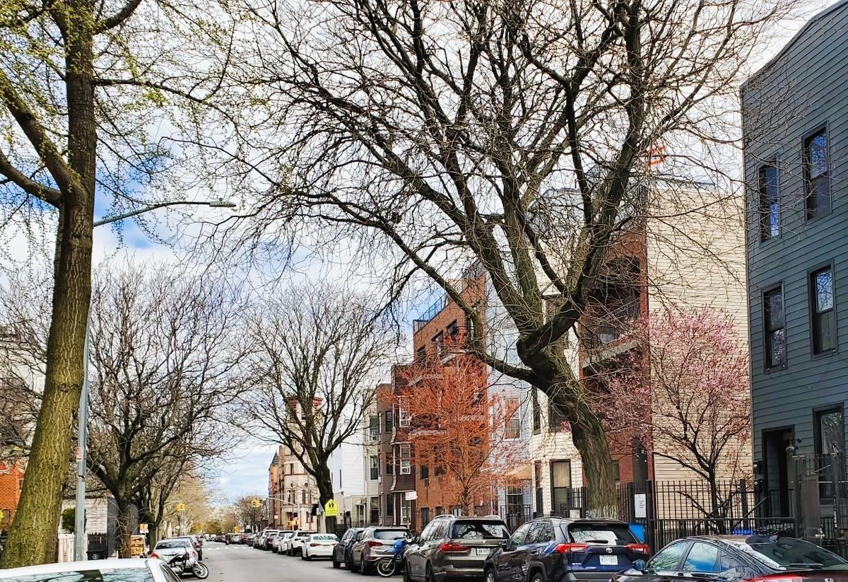 Single Family Madison  Brooklyn, NY 11221, MLS-850218-2
