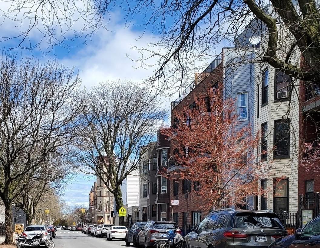 Single Family Madison  Brooklyn, NY 11221, MLS-850218-3