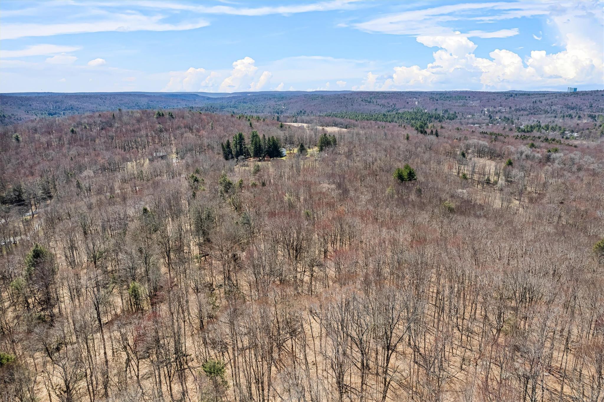 Single Family Ranch Hill  Sullivan County, NY 12779, MLS-850668-39