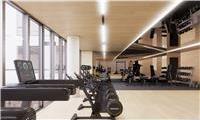 Condo Northern Blvd  Queens, NY 11354, MLS-850829-10
