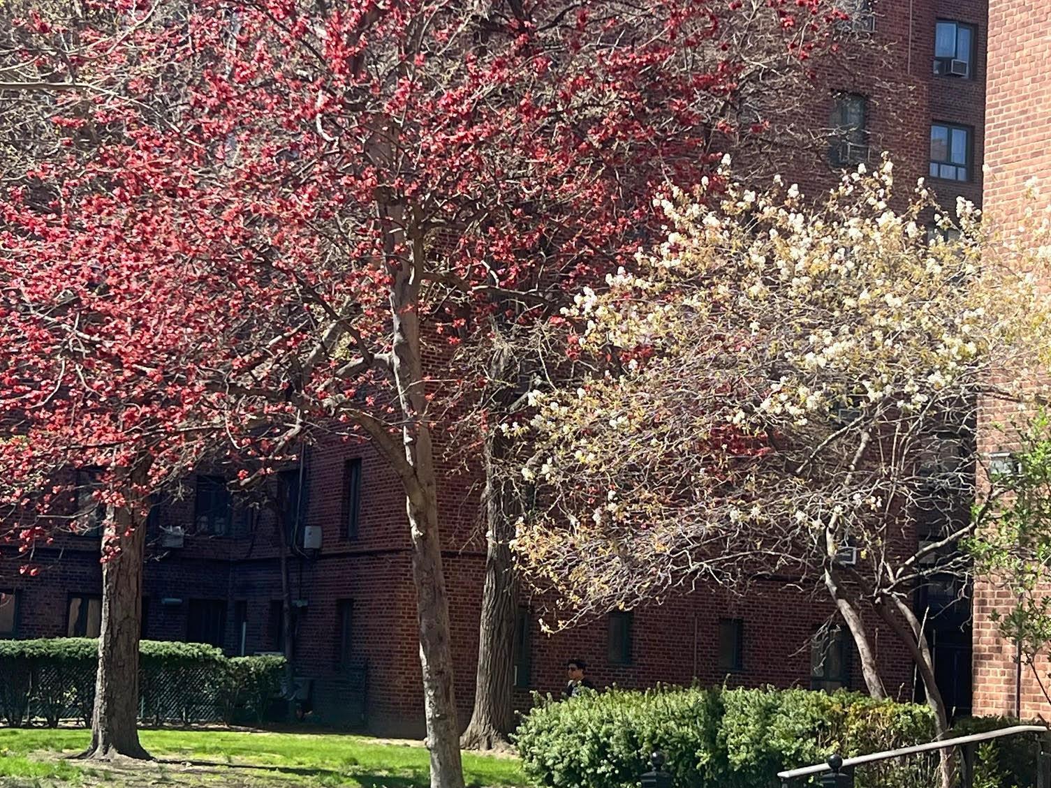 Condo Unionport  Bronx, NY 10462, MLS-850859-19