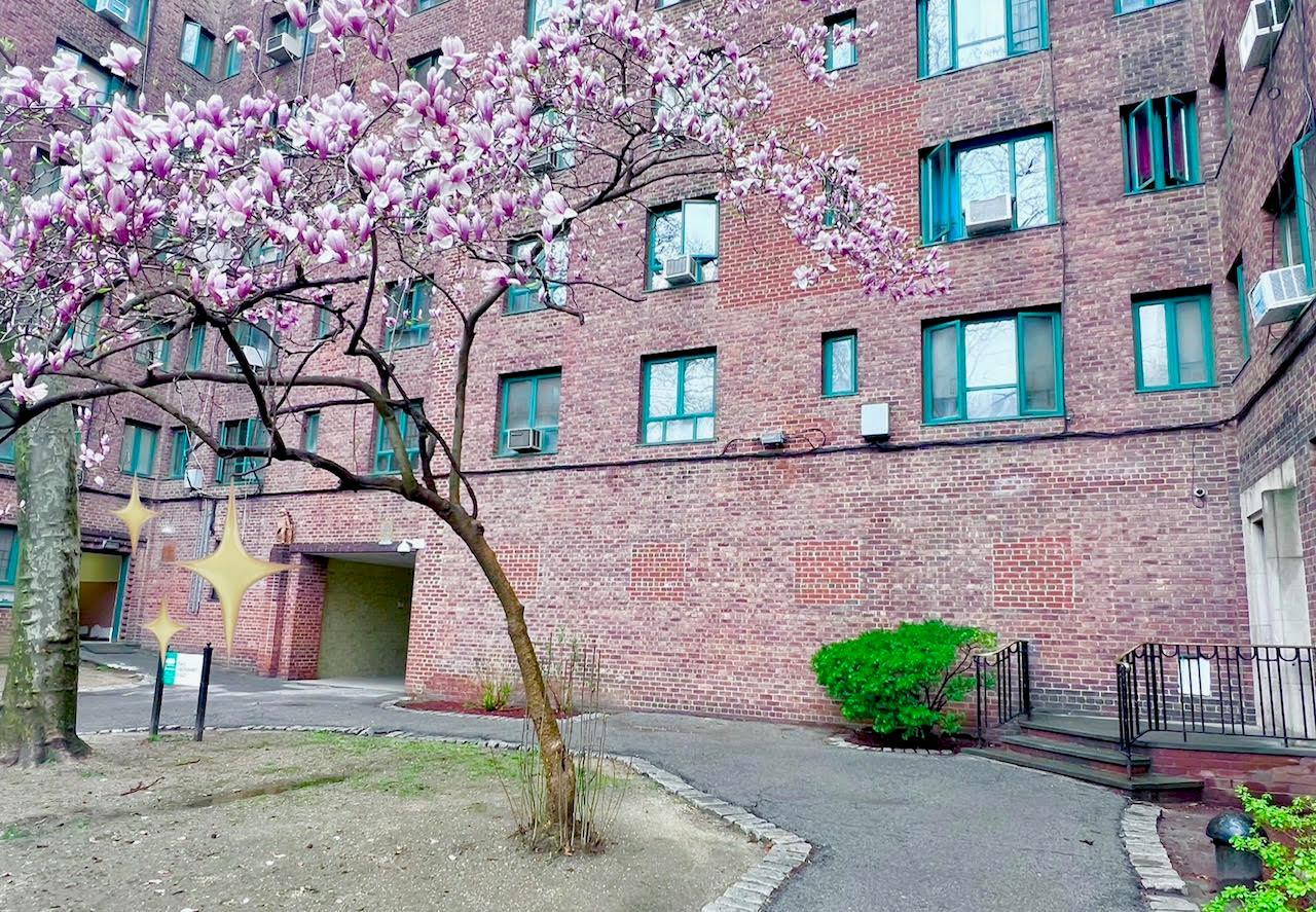 Condo Unionport  Bronx, NY 10462, MLS-850859-3