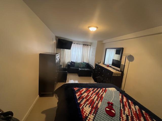 Single Family Saint Felix  Queens, NY 11385, MLS-850938-5