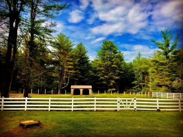 Single Family State Route 17b  Sullivan County, NY 12726, MLS-850978-43