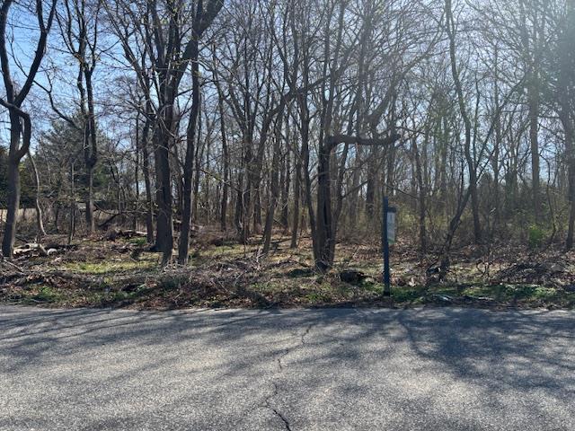 Single Family Hill  Suffolk County, NY 11772, MLS-851182-5