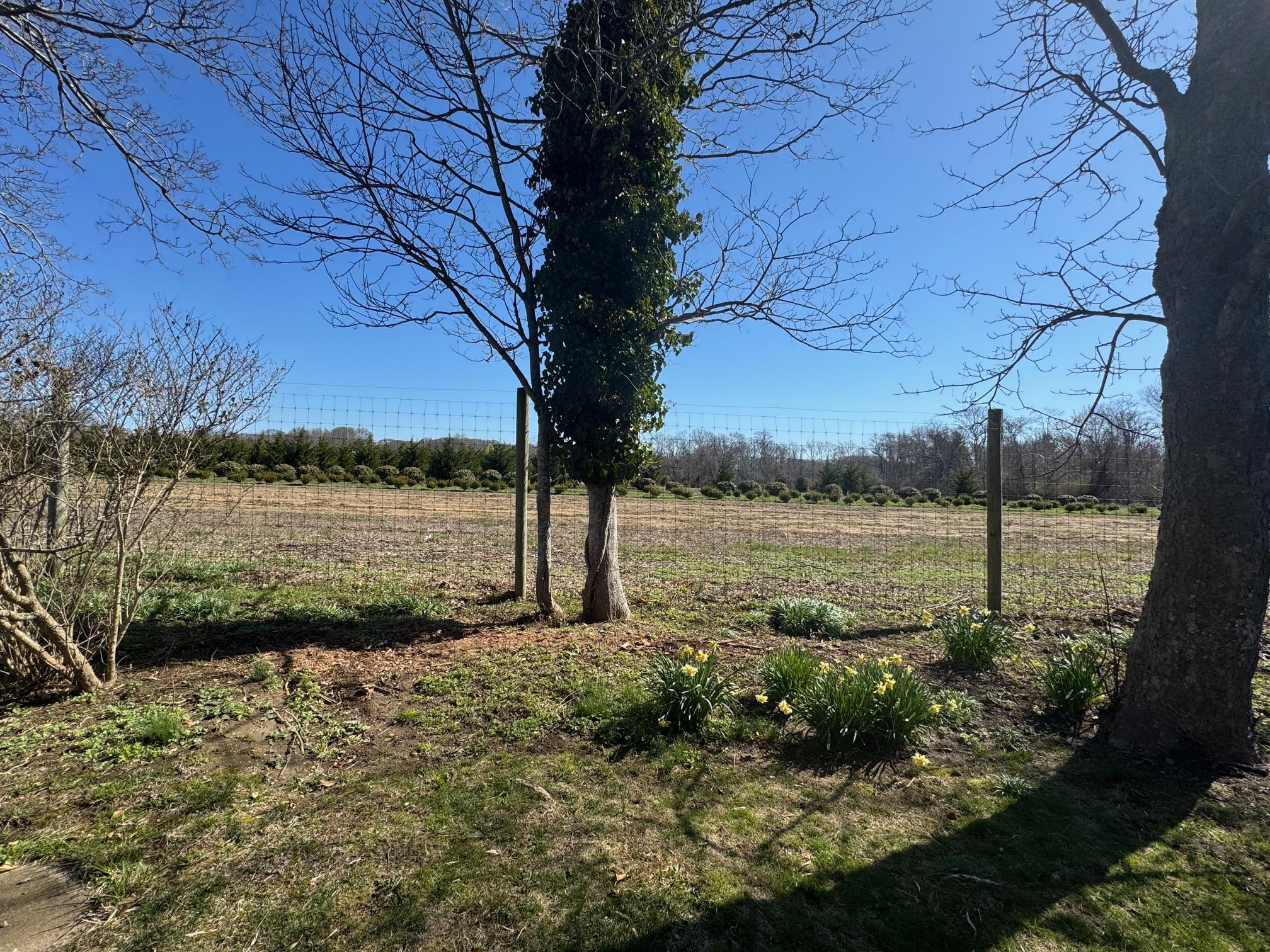 Single Family Shipyard  Suffolk County, NY 11939, MLS-851297-15