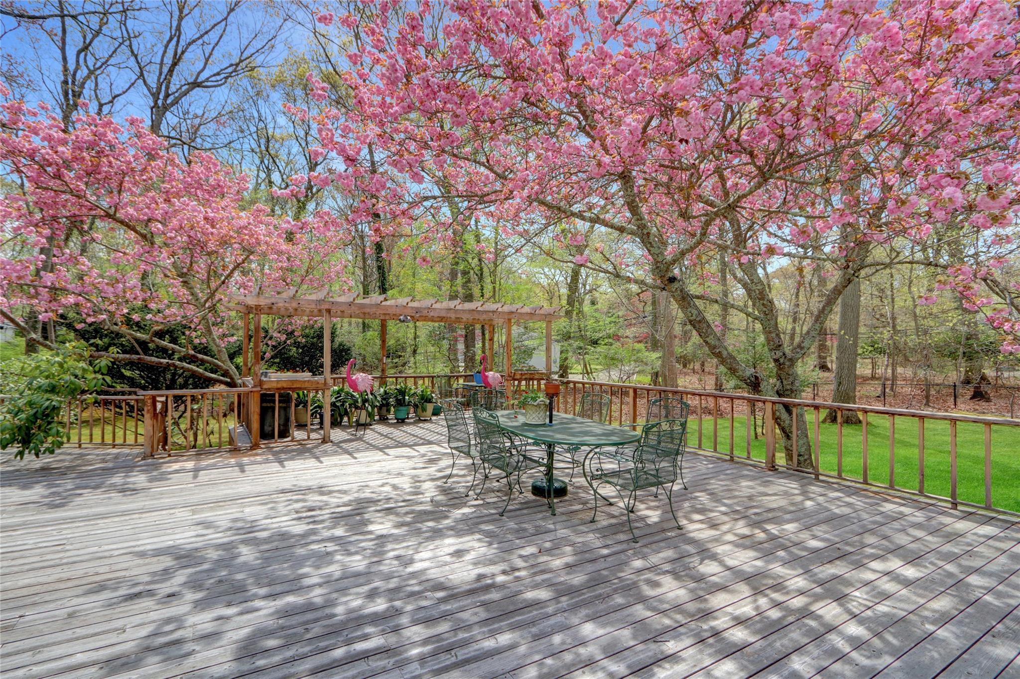 Single Family Old Homestead  Suffolk County, NY 11777, MLS-851352-31