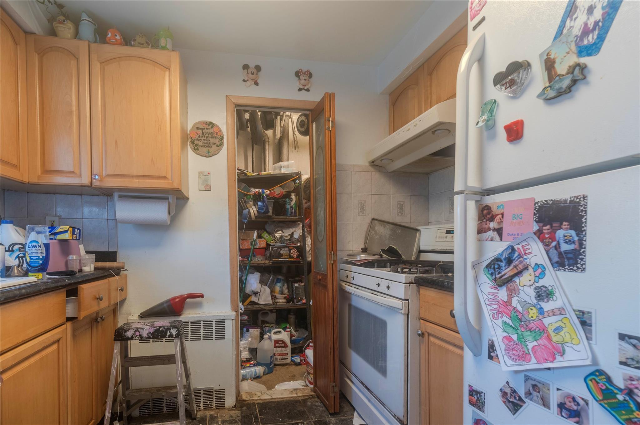Single Family 196 Street  Queens, NY 11358, MLS-851467-16