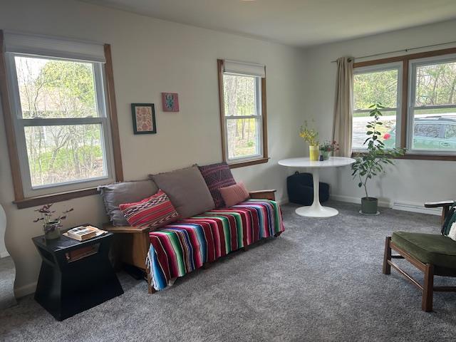 Single Family Greeves  Orange County, NY 10958, MLS-851592-20