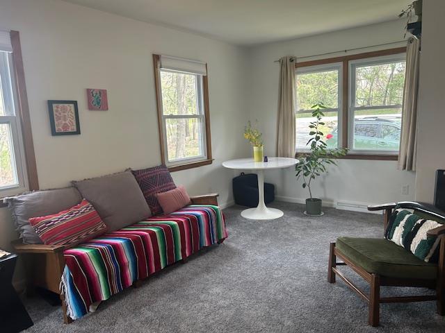 Single Family Greeves  Orange County, NY 10958, MLS-851592-21