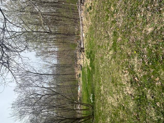 Single Family Greeves  Orange County, NY 10958, MLS-851592-46