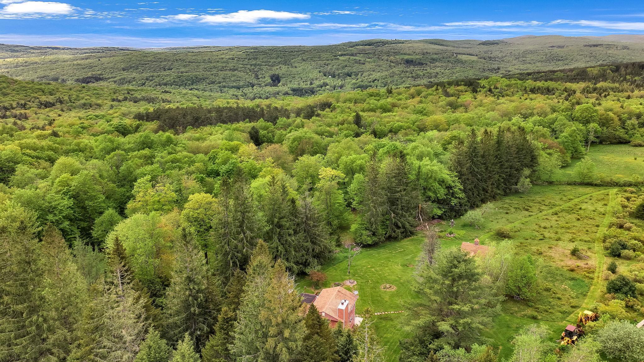 Single Family Woodard  Sullivan County, NY 12768, MLS-852051-4