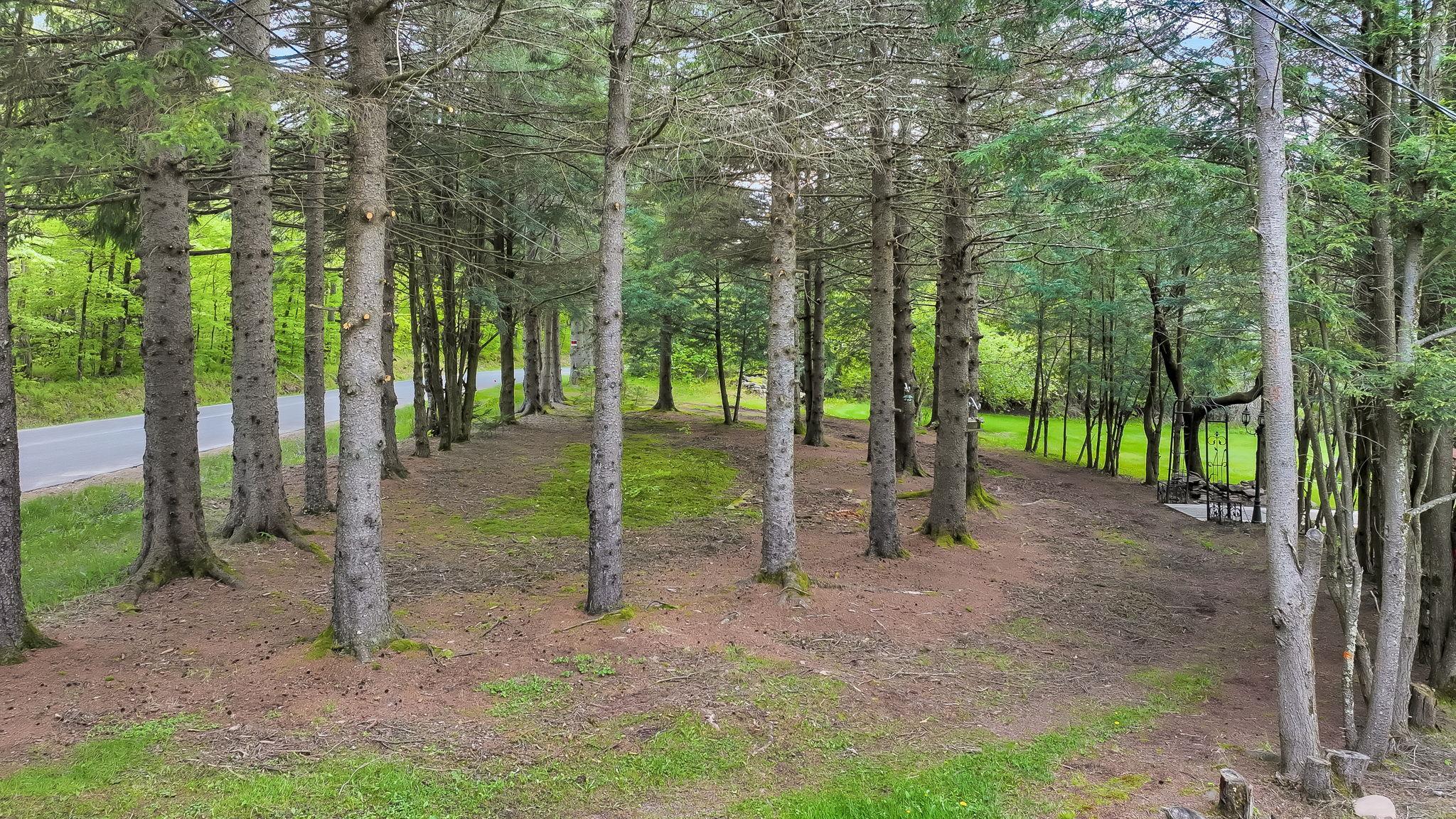 Single Family Woodard  Sullivan County, NY 12768, MLS-852051-9