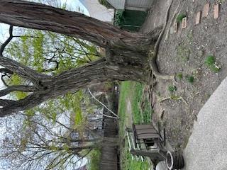 Single Family Franklin  Queens, NY 11355, MLS-852288-17