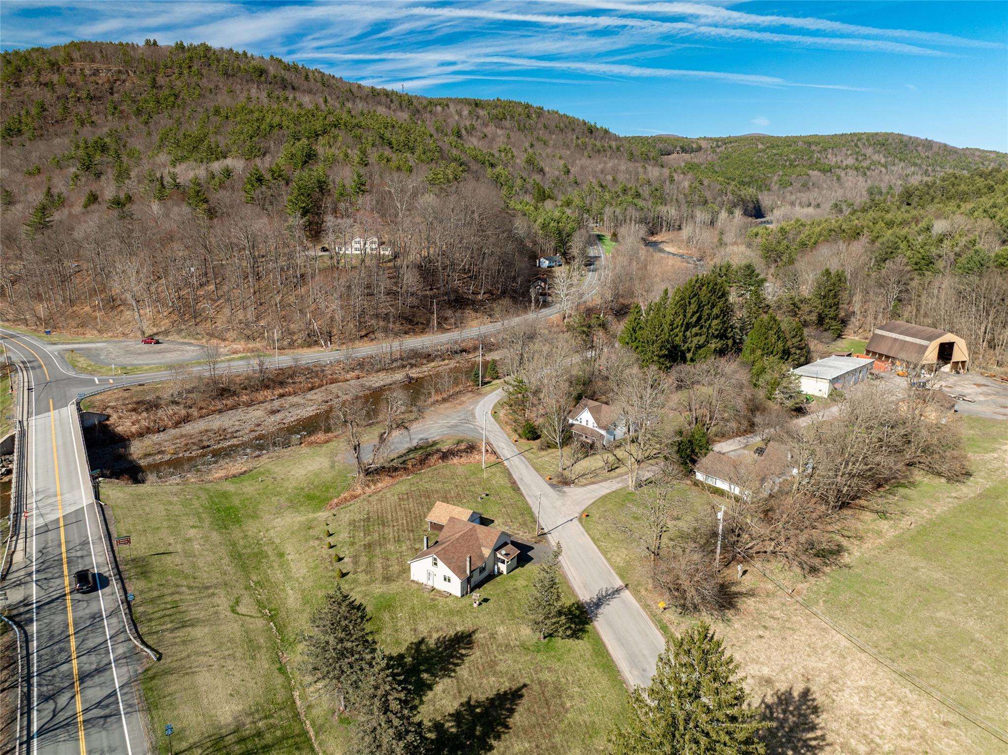 Single Family Conine  Greene County, NY 12468, MLS-852523-20
