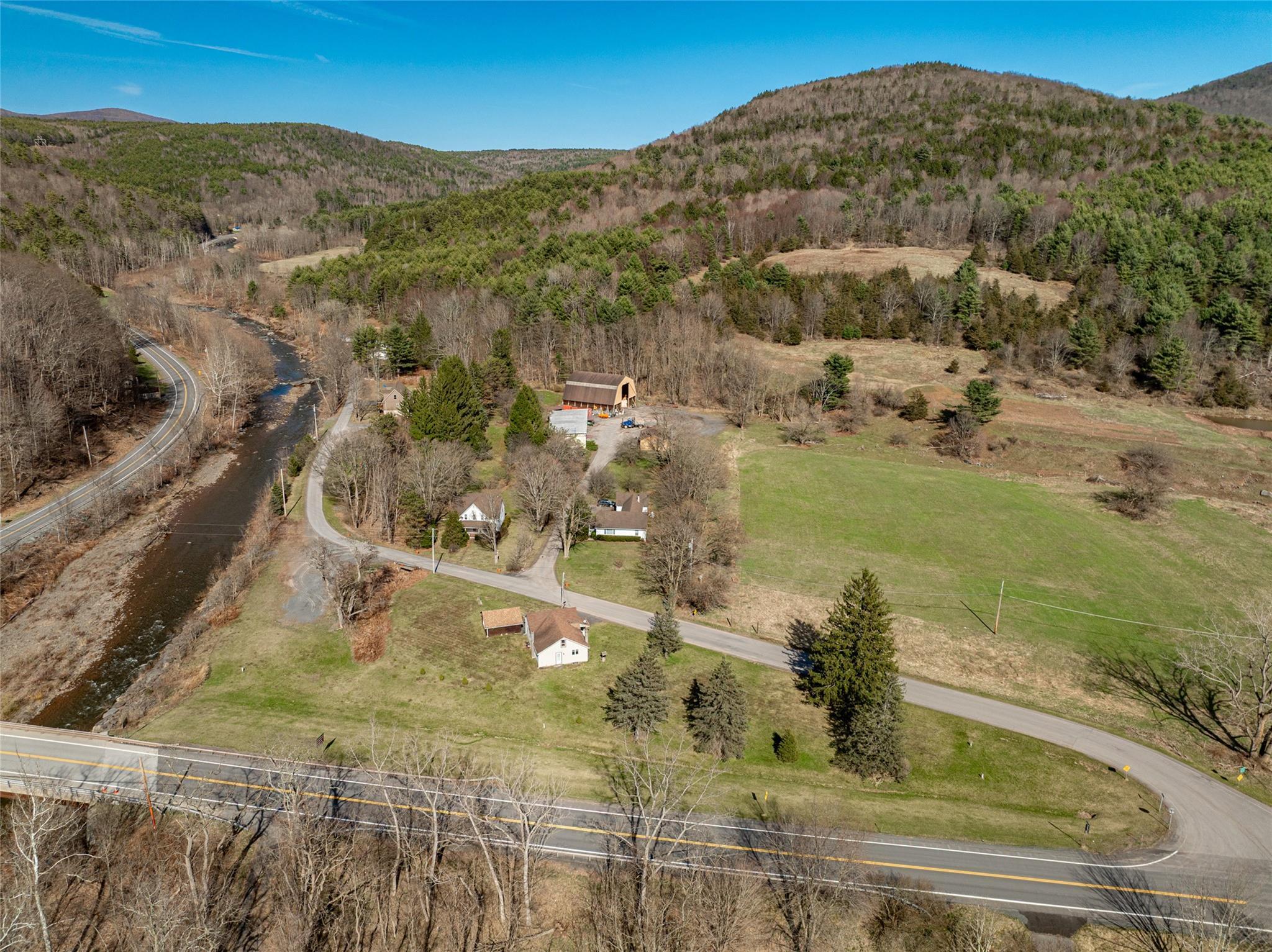 Single Family Conine  Greene County, NY 12468, MLS-852523-21