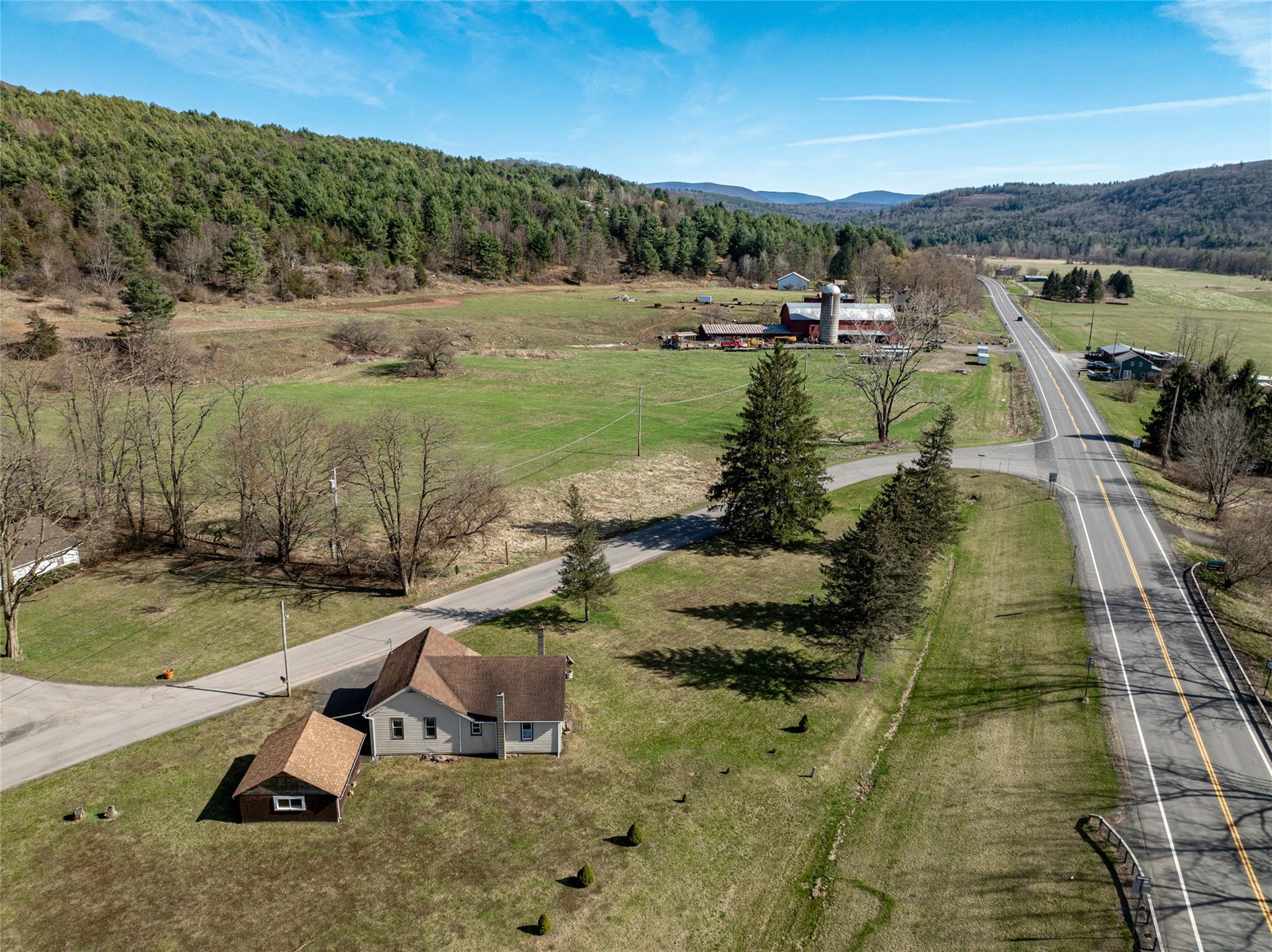 Single Family Conine  Greene County, NY 12468, MLS-852523-24