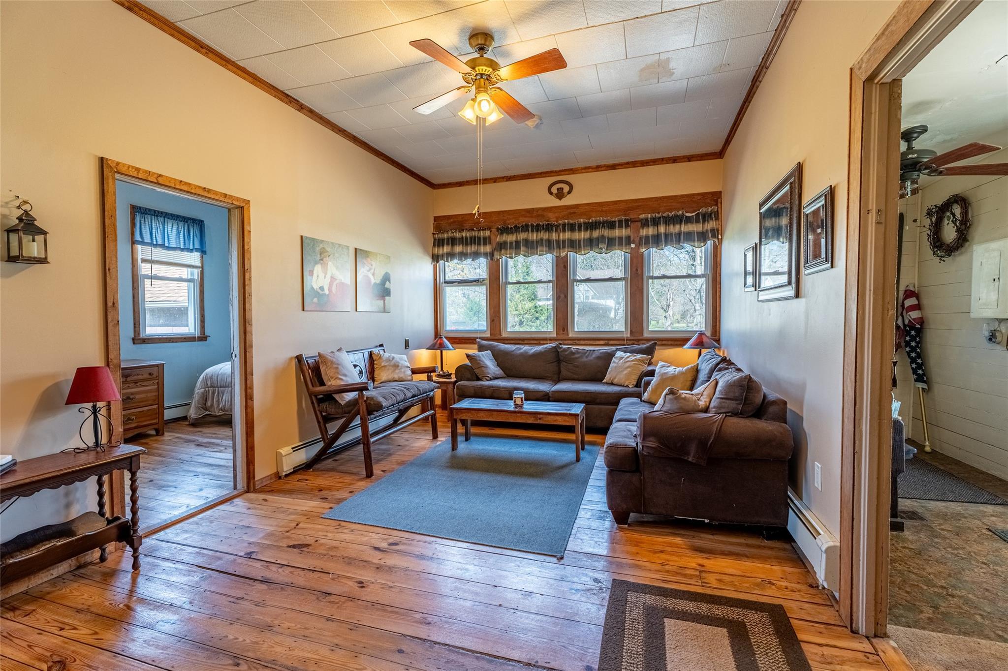 Single Family Conine  Greene County, NY 12468, MLS-852523-7