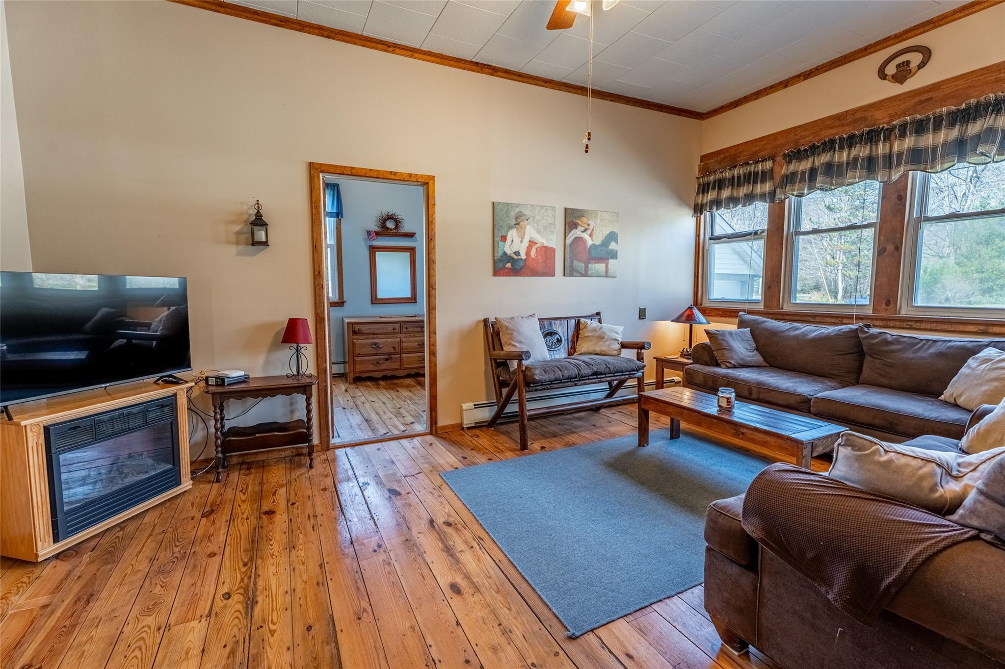 Single Family Conine  Greene County, NY 12468, MLS-852523-8