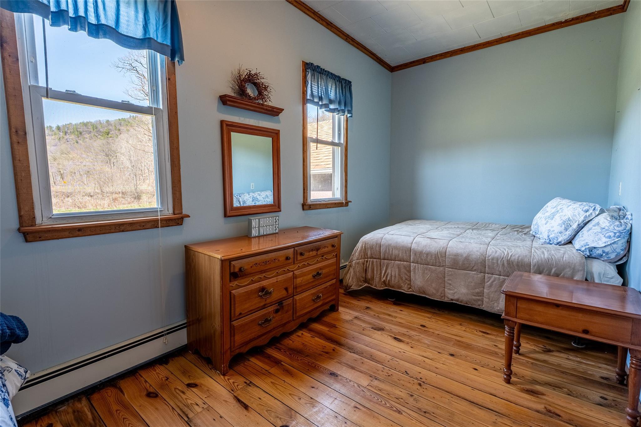 Single Family Conine  Greene County, NY 12468, MLS-852523-9